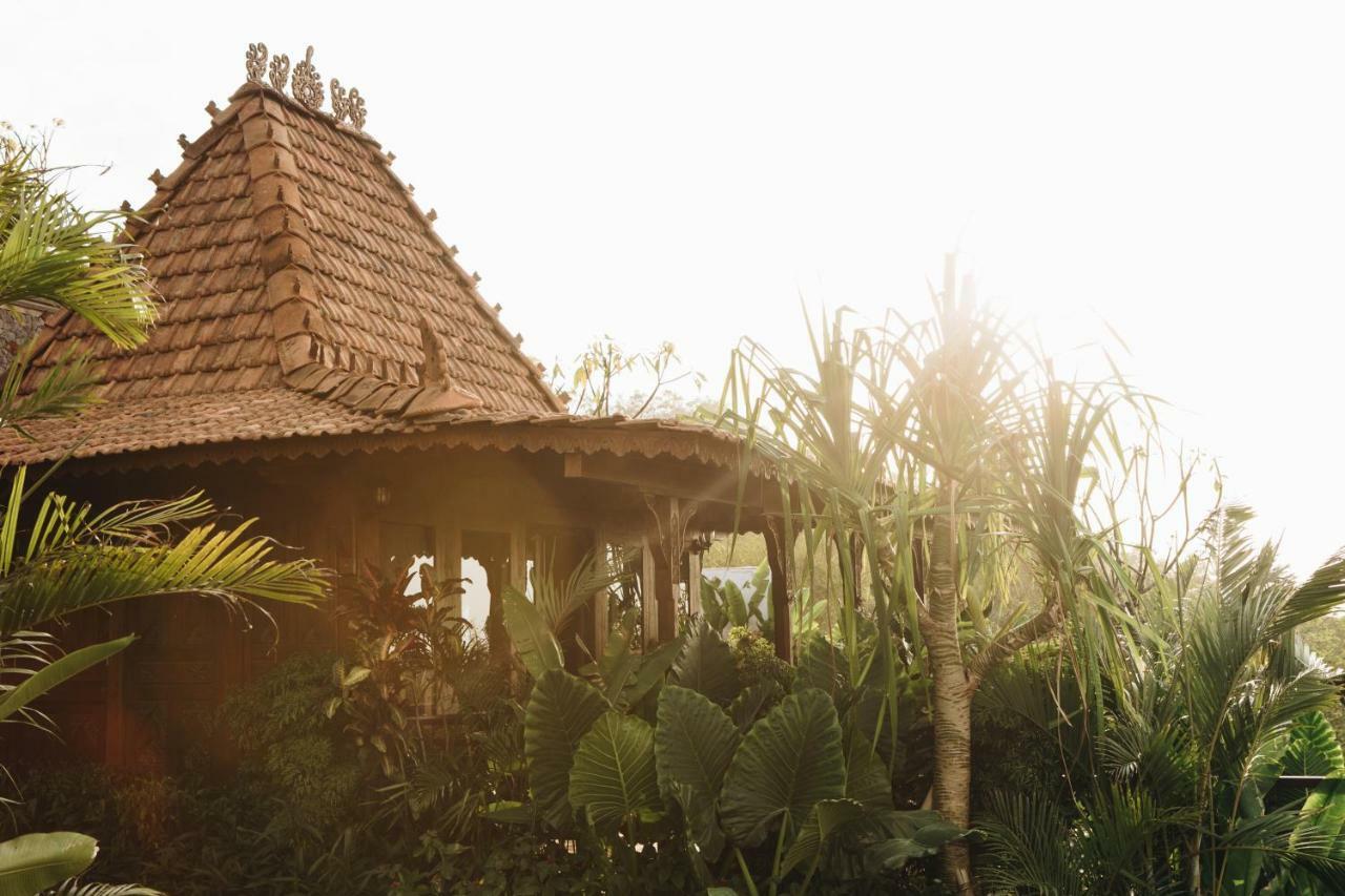 White Tortoise Eco Villa'S Uluwatu Eksteriør billede